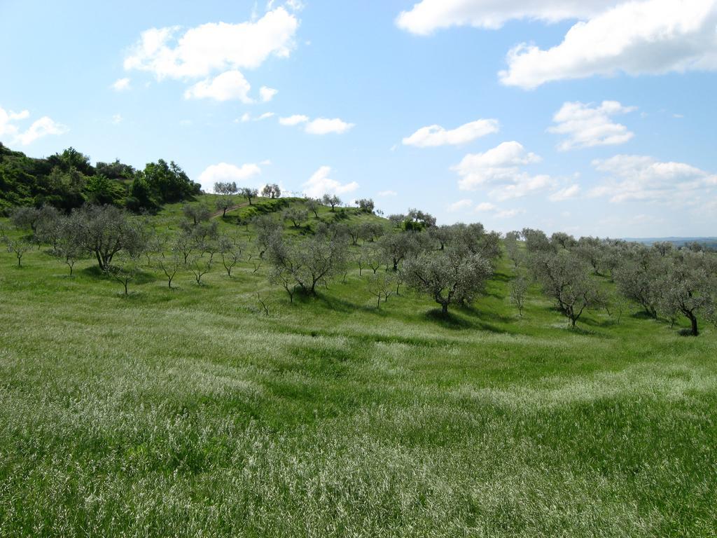Agriturismo Le Roghete アックアペンデンテ エクステリア 写真